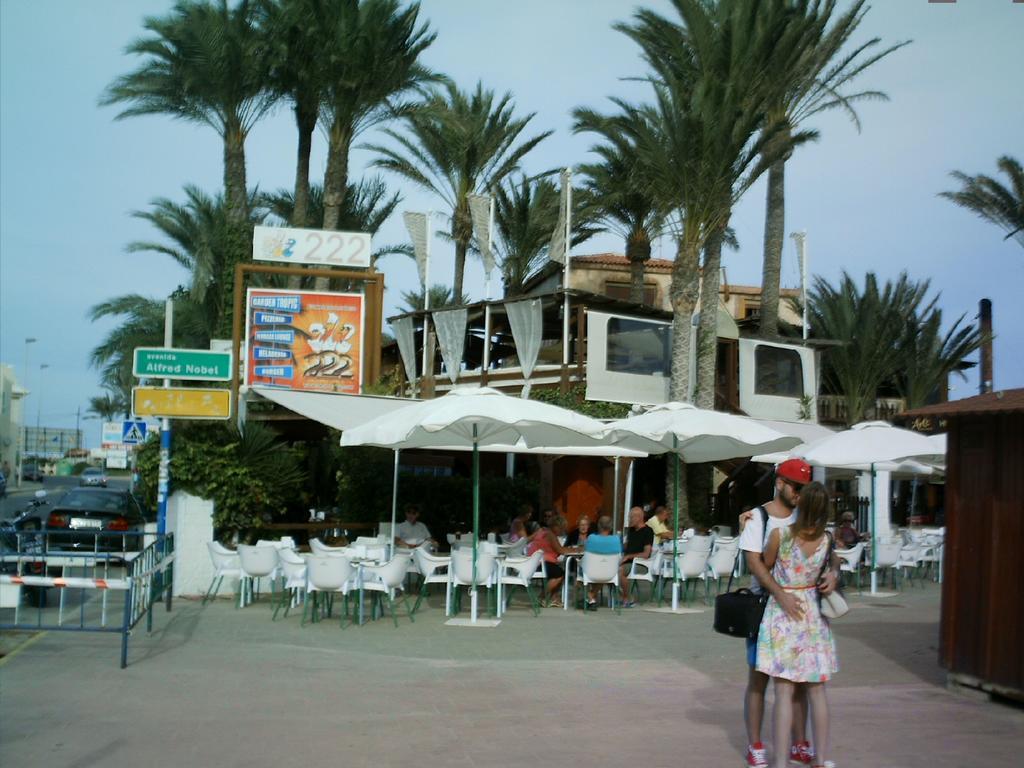 La Rosaleda Apartman Torrevieja Kültér fotó